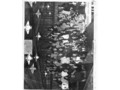 LaSalle Class of 69 Photos