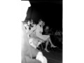 LaSalle Class of 69 Photos